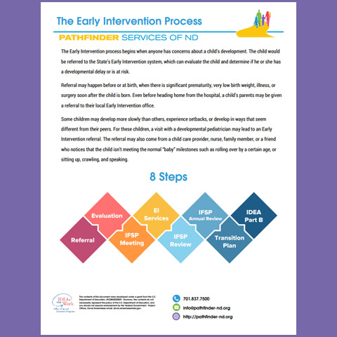 The Early Intervention Process