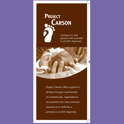 Project Carson
